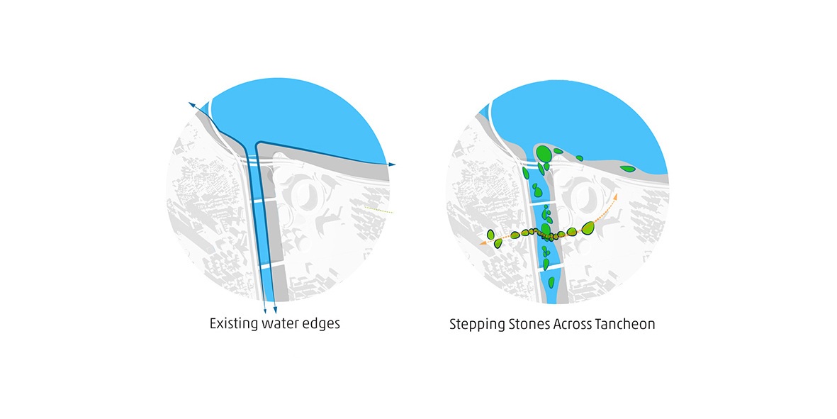 Before-After-Diagram