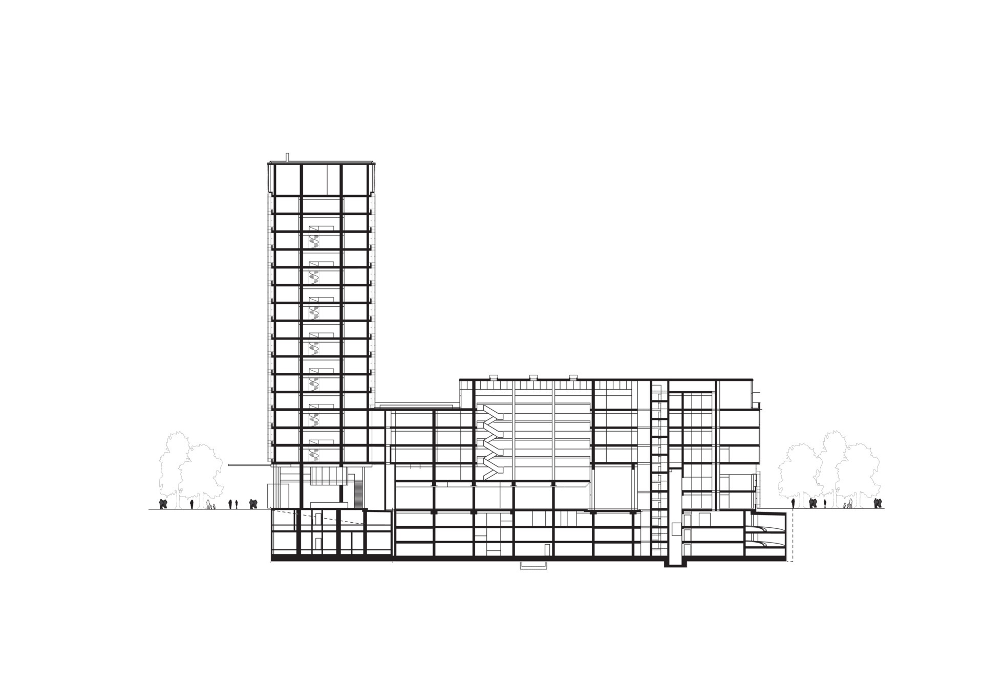 Schnitt lÃƒÂ¤ngs