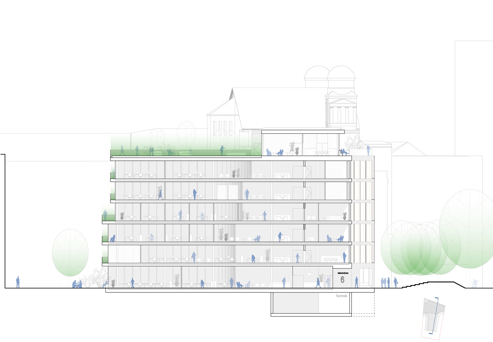 Longitudinal Section